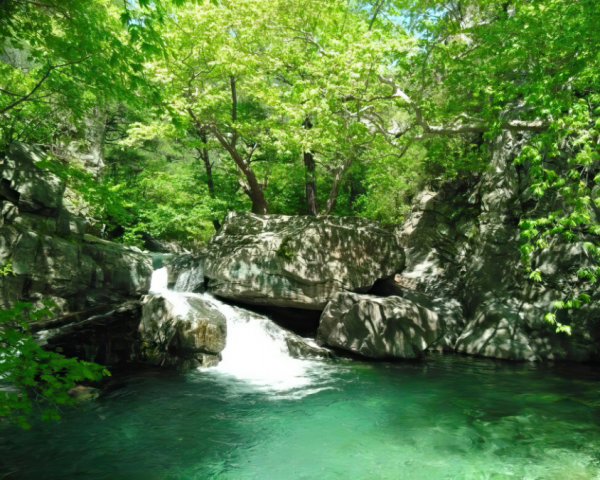 Temel Fotoğraf Workshop’u ile birlikte Günübirlik Maşukiye, Gölcük ve Ormanya Turu - Görsel 5